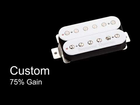 Duncan Custom vs. Duncan Pegasus