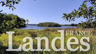 Las Landas (Francia): playa, naturaleza y encanto francés | De viaje con Lucía