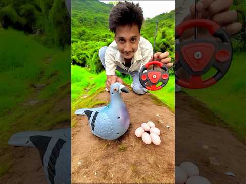Remote Control Birds Pigeon deko😳