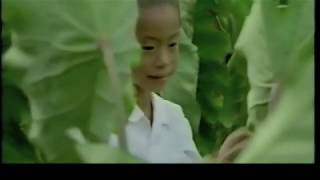 영화 「그림 속 나의 마을」 발췌 (映画「絵の中のぼくの村」抜粋)