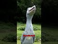 Rare Birds Sounds 😯 - Shoebill - Cassowary - Ghost Bird - Ground Hornbill - White Bellbird