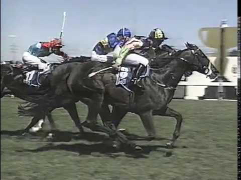 1996 VRC Newmarket Handicap