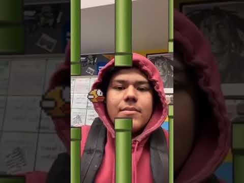 floppy bird (filter)