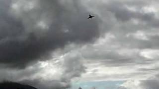 preview picture of video 'SAPAC Eurofighter Typhoon EDF flight'