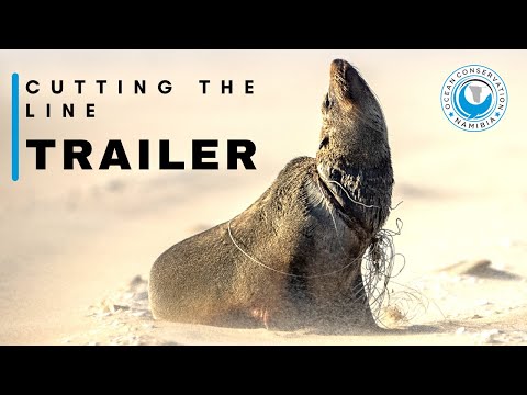 Cutting The Line - Trailer