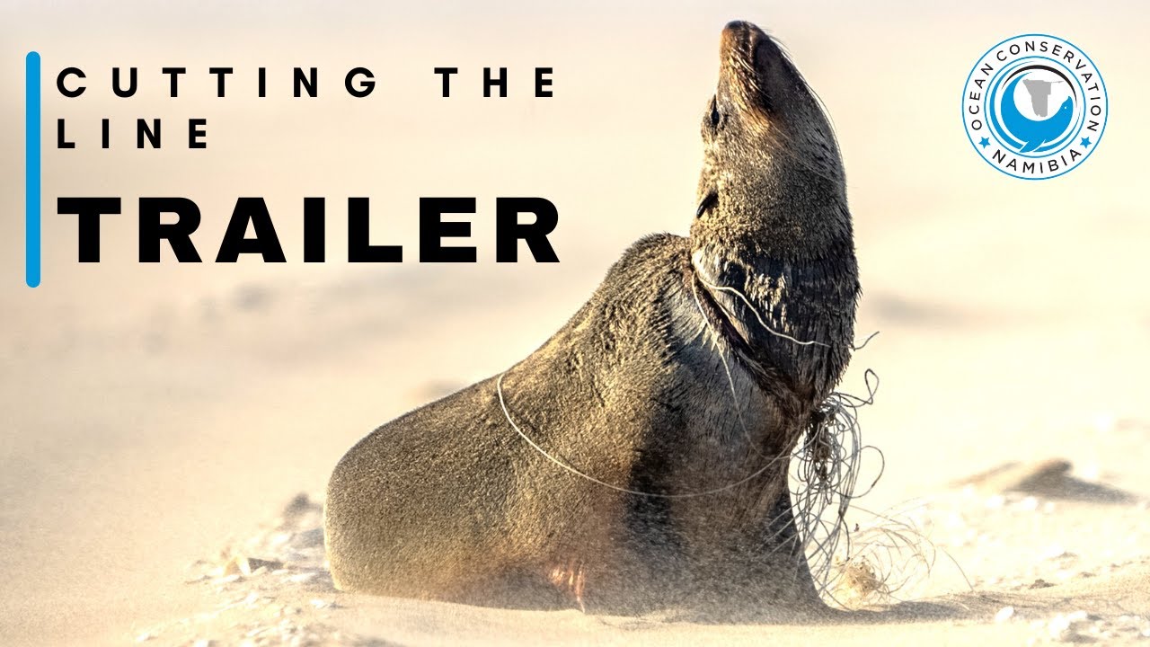 Cutting The Line - Trailer