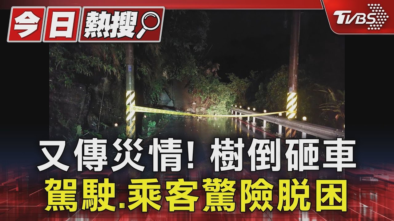 又傳災情!樹倒砸車 駕駛、乘客驚險脫困