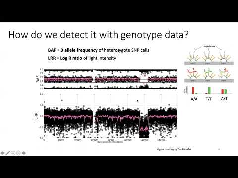 CNV analysis with Daniel Howrigan