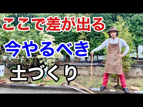 最も重要な天然肥料の概要 庭の練習