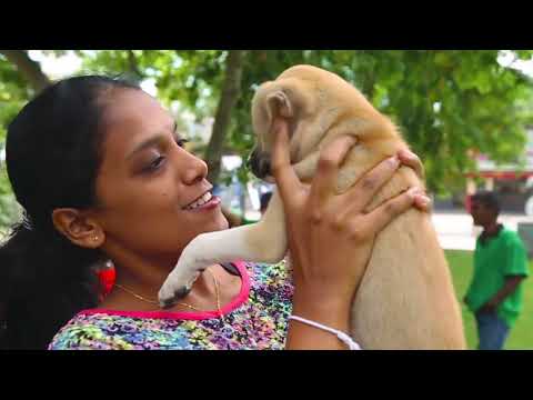 Spreading love , kindness and compassion at the Saegis Campus