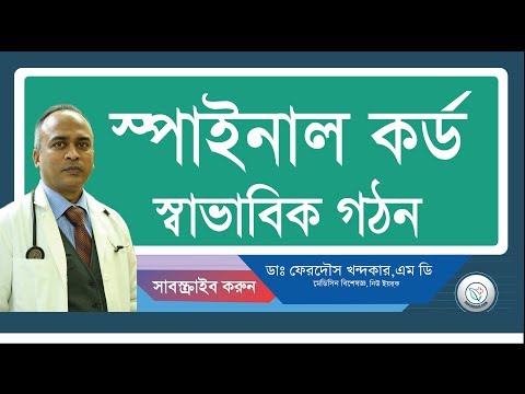 মেরুদন্ড—স্বাভাবিক গঠন।