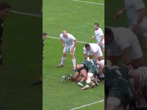 TOP 14 - J19: Trois à la suite pour la Section Paloise