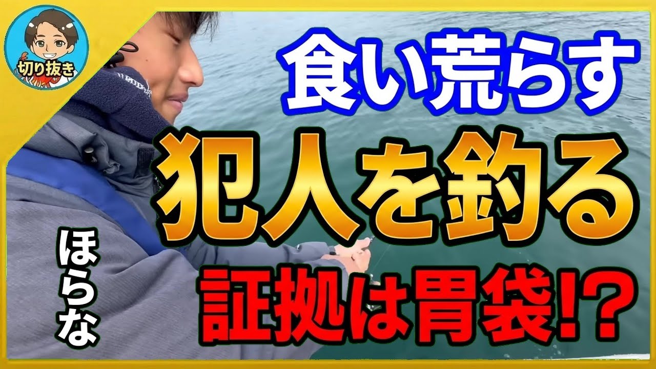 【漁師まさと】餌を食い散らす●●を釣る！！牡蠣を撒いたらでかいのが来た！その魚とは！？【釣り 瀬戸内 漁師 切り抜き fish fishing fisherman SETOUCHI 船 給料】