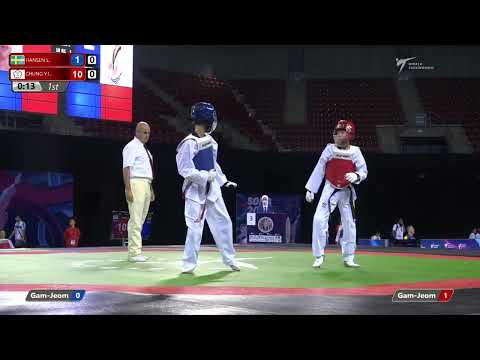 302 R64 Boys  41kg SWE HANSEN L  TPE CHUNG Y L