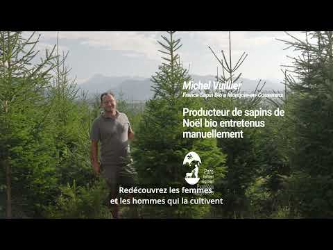 Revenez sur Terre - Valeurs Parc - Sapin