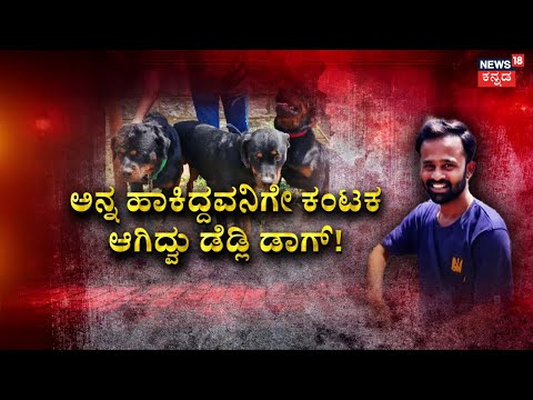 Rottweiler Dog Attack To Girl | ಕಿಲ್ಲರ್ ನಾಯಿಗಳನ್ನ ಸಾಕಿದ್ದ ಮಾಲೀಕ ಅಂದರ್‌! | Davangere Incident