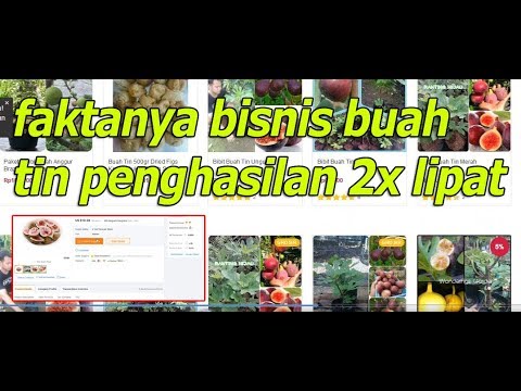 Untuk apa yang dianggap sebagai ukuran penis kecil Apakah mungkin untuk membawa orgasme penis kecil