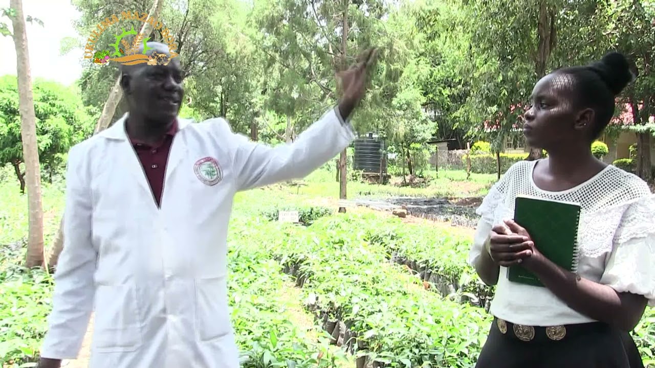 AIC Cheptebo — Community Development Report