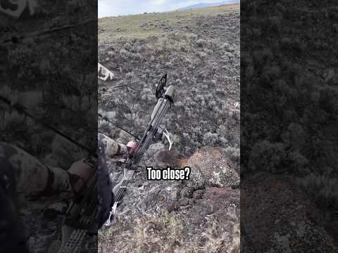 3 YARD SHOT W/ A BOW 😳 (ShedCrazy)