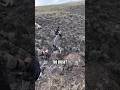 3 YARD SHOT W A BOW ShedCrazy