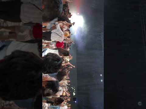 Puerza bruta in seoul 2019