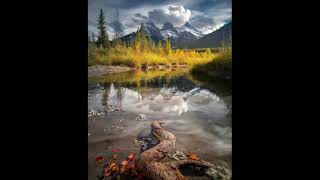 Interview With Mary Bailey On The Esoteric Philosophy Of Alice Bailey