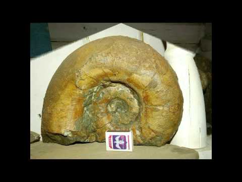 Краеведческий музей, Адыгея