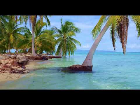 Virtual Walk | Tropical Island Special | 4K Virtual Hike with music