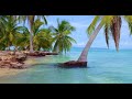 Virtual Walk | Tropical Island Special | 4K Virtual Hike with music