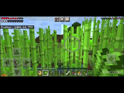 nos premiers diamants en hardecore