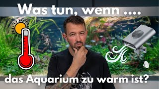 Was tun, wenn das Aquarium zu warm ist?