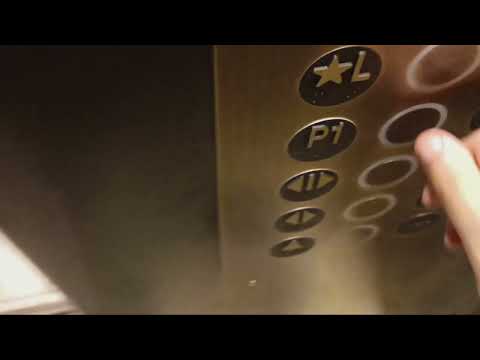 Montgomery traction elevators at Nordstrom at The Westchester mall (White Plains, NY)