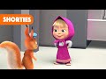 Masha and the Bear Shorties 👧🐻 NEW STORY ✈️🛄 Airport (Episode 4) ✈️🛄 Masha and the Bear 2022