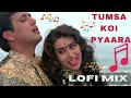 Sau Phool Khile Jab Ye Khila Roop Sunhara Tumsa Koi Pyaara Lofi Mix 90 S Hits Lofi Songs