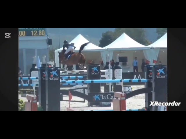 damline Chouffe van 't Geyzeven