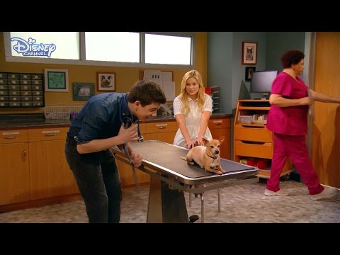 I Didn't Do It | The Checkup 🐾 | Disney Channel UK