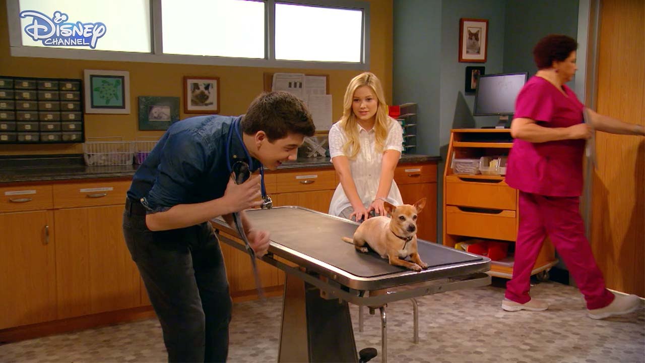 I Didn't Do It | The Checkup 🐾 | Disney Channel UK