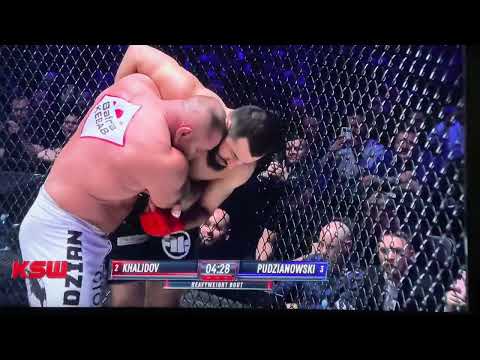 PUDZIAN fiku-miku MAMED na żółwiku