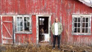 Liker når de smiler - Svartepetter