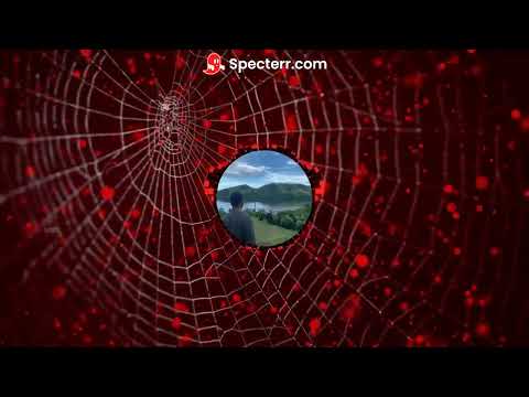 DJ PAKX - SIKULEKA (2020) #TB