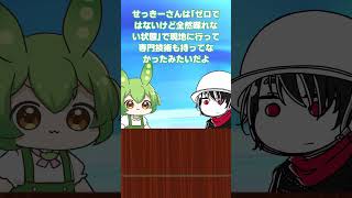 日本人、なぜか海外で貧困化 #shorts #short #ずんだもん
