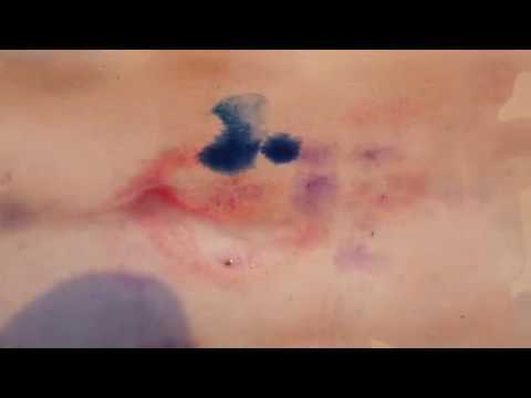 ZXX - Becky Gray (audio)