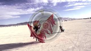 Coeo - Back in the Days