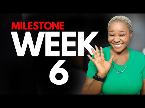 Week 6 Milestone | ALX Virtual Assistant Programme - Resume, Cover Letter and LinkedIn Optimization