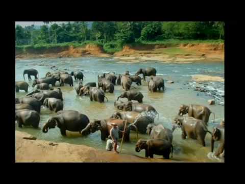 Tsunami Caught on Camera - Part 1