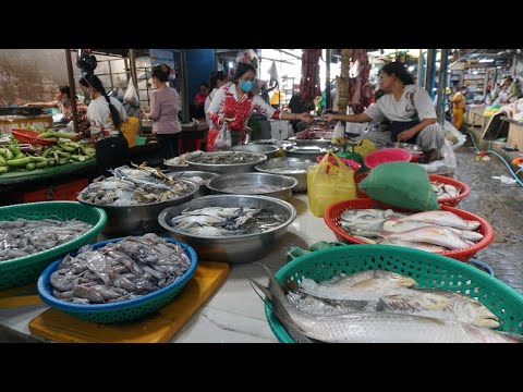 Morning Daily Life Style of Vendors @Phsa LU - Walk Around Food Market at LU Market Olympics