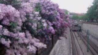 Tedi Spalato - POTRAŽI ME U PREDGRAĐU