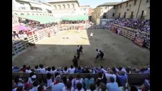 preview picture of video 'Fiestas SanMiguel 2014 Larraga Día Jubilado.- CDSanMiguel y AlegríaRaguesa 1ªparte @FototecaLarraga'