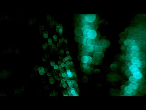 Mixmaster Doc, Dave Shichman & Bernzilla - Reaching (Driven AM Recordings) [OFFICIAL VIDEO]