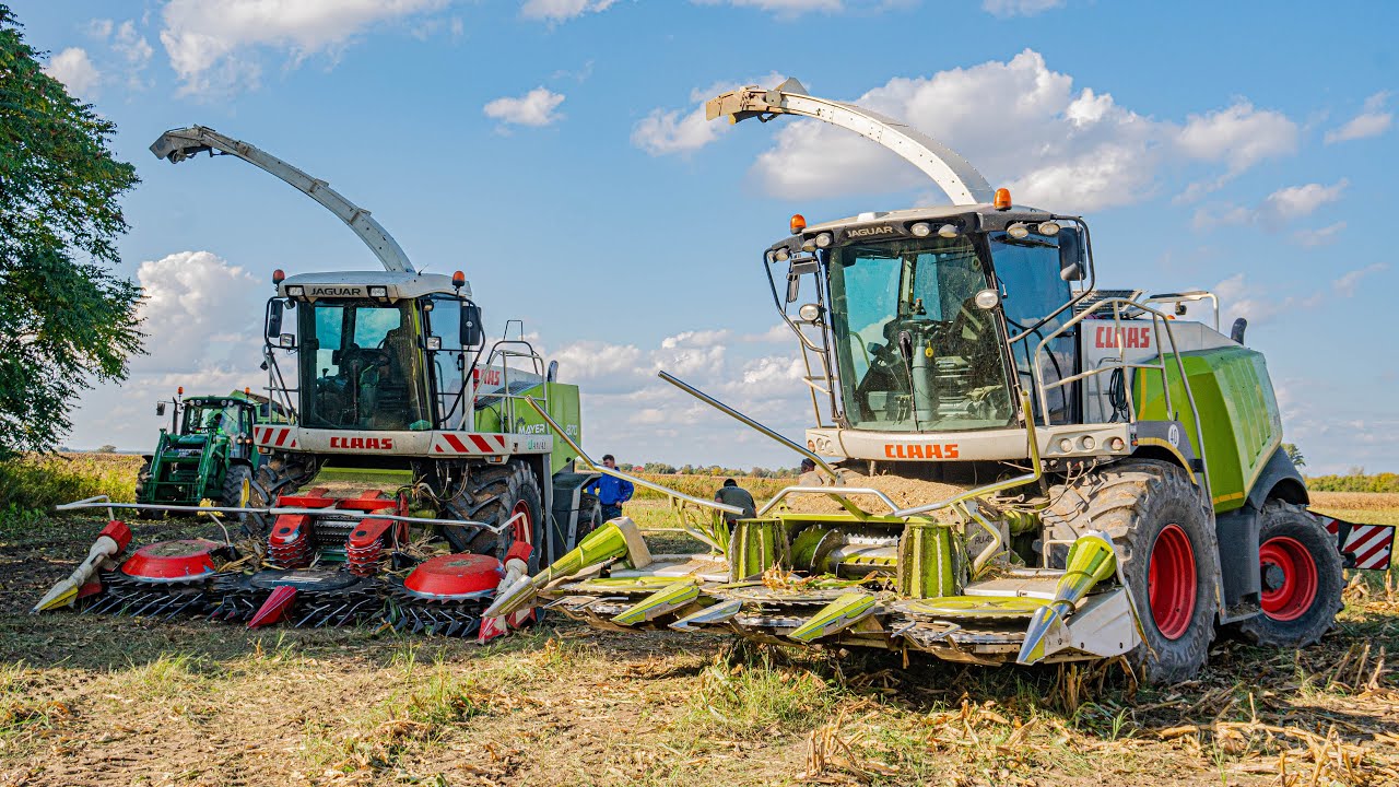 SZENÁZS,  SILÓZÁS + szállítás országosan
